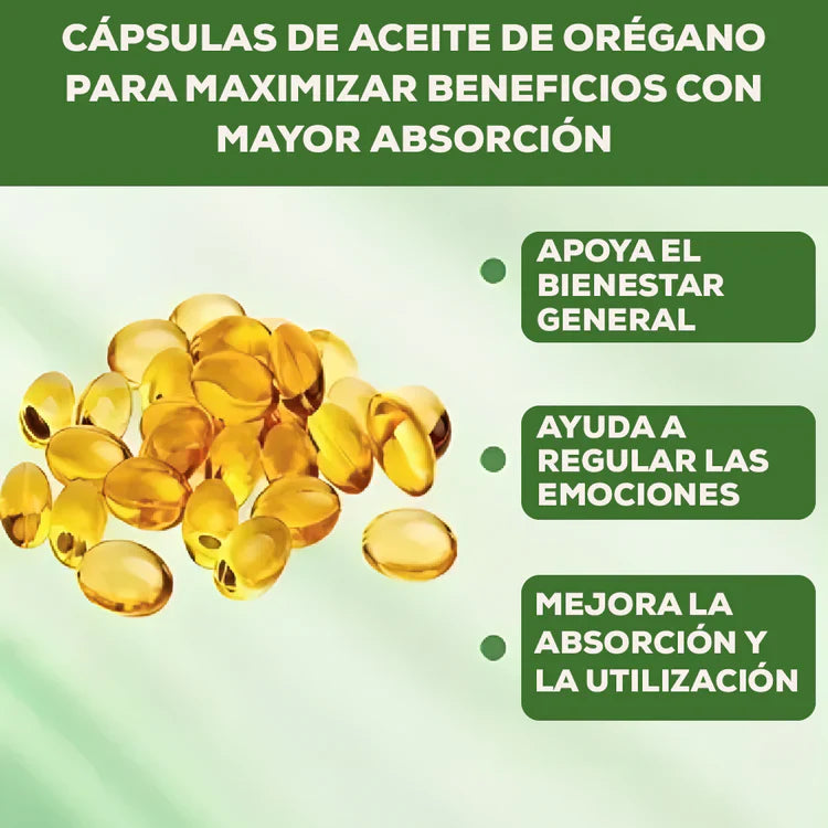 Encabezado