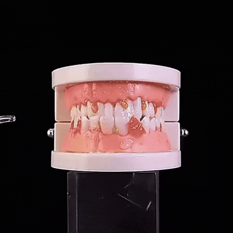 Irrigador Oral Extrema limpieza